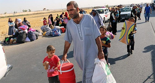 La ONU confirma que Daesh capturó a 3.000 desplazados en Iraq